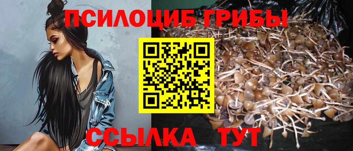 Галлюциногенные грибы мухоморы Борзя