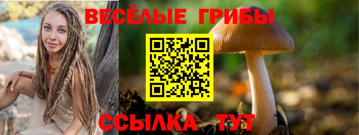 Псилоцибиновые грибы прущие грибы  Галлюциногенные грибы мицелий  закладка  Вход с VPN  Борзя 